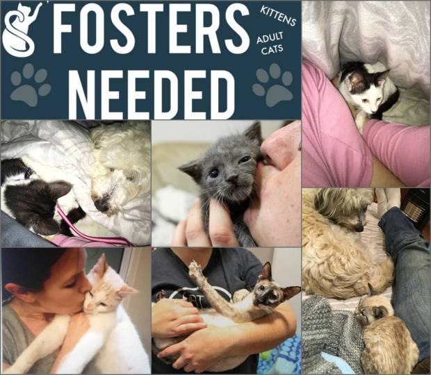 14054437_992956094147028_5326286117035434991_o