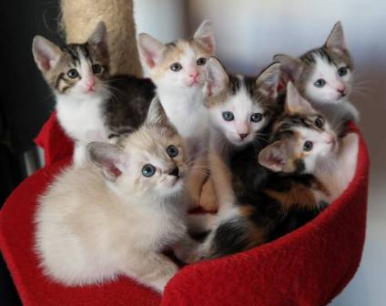 13243922_942486105860694_6912857070076069049_o