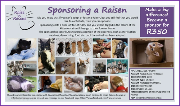 Sponsoring-a-Raisen